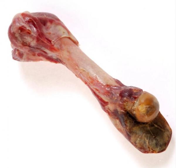 Schinkenknochen aus Parma